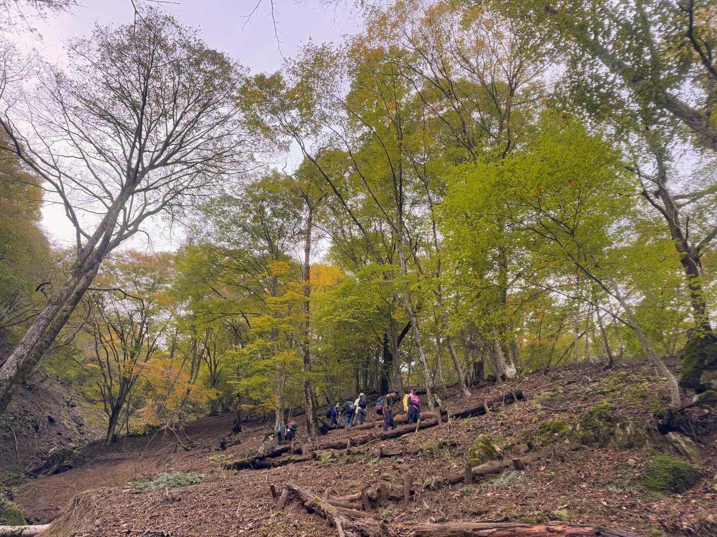 紅葉してますね😍💚💛
やったー！！👏🏻