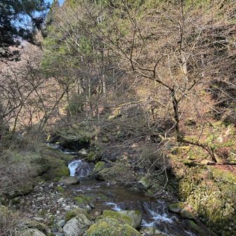 水がきれいねなんて言ってたら