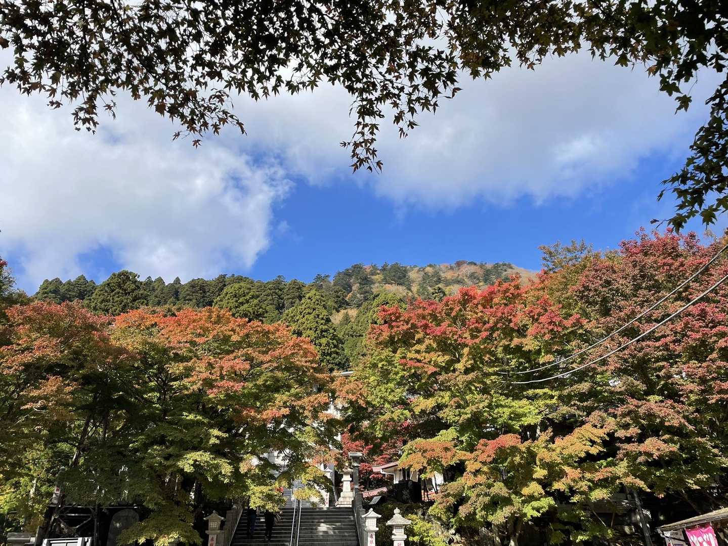 大山ケーブルバス停-大山寺-頂上登山口-大山-大山ケーブル 縦走コースの写真