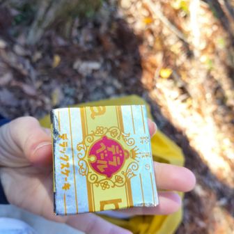 田辺名物デラックスケーキ。普段は食べない高カロリー