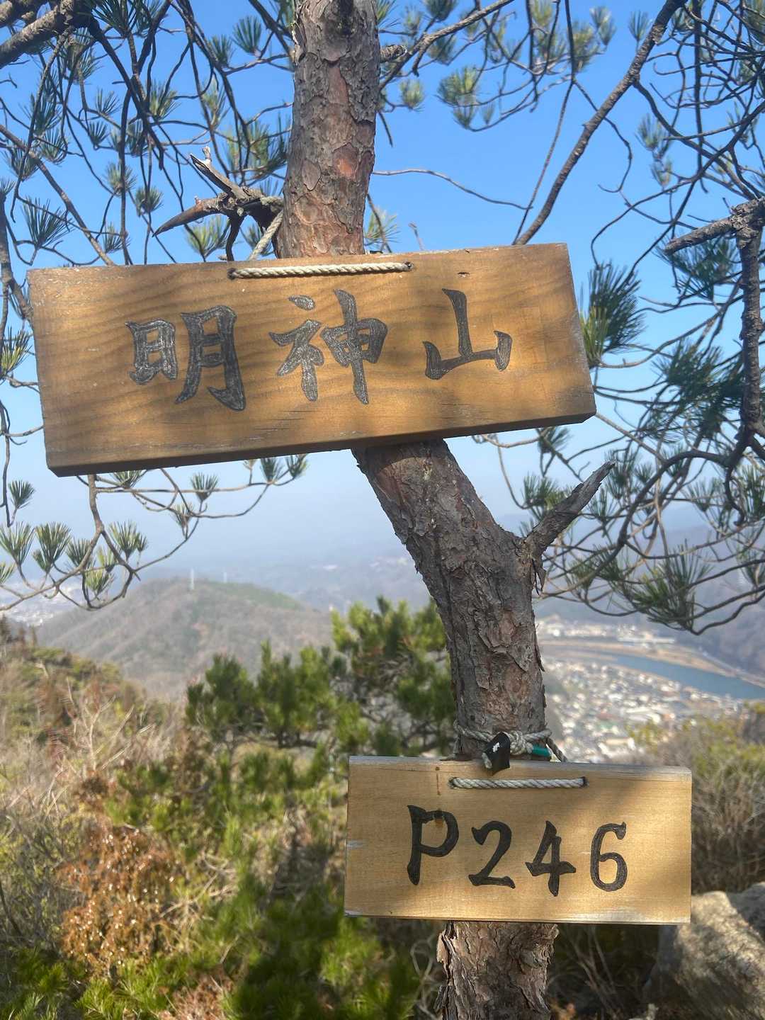 明神山（P246）到着⛰️