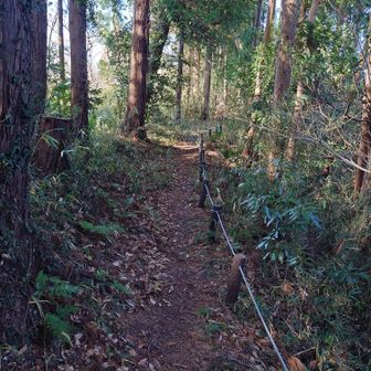 甘沼山山頂へのアプローチ