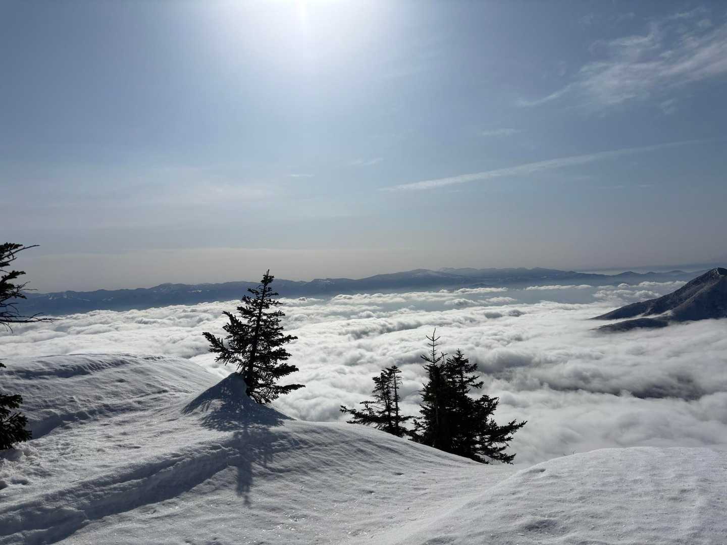 黒姫山（大橋登山口）の写真