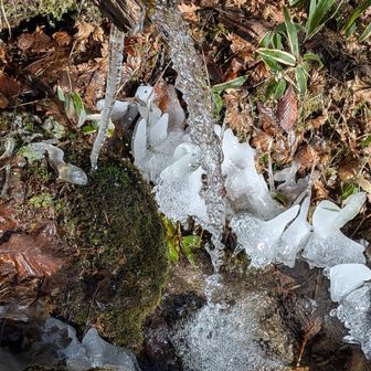 まろやかである