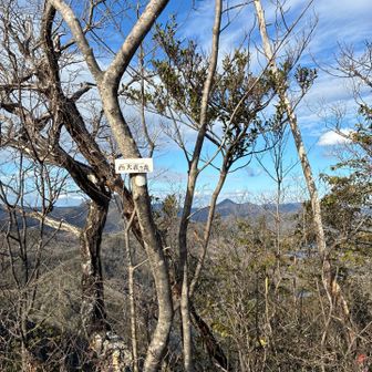 やっとここまで！