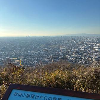 枚岡展望台の景色はいつもながら良き