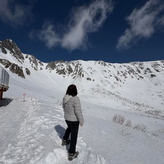 あゆたユーザー