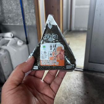 登山でぼだっこおにぎりって最強感ある（塩分、タンパク質）