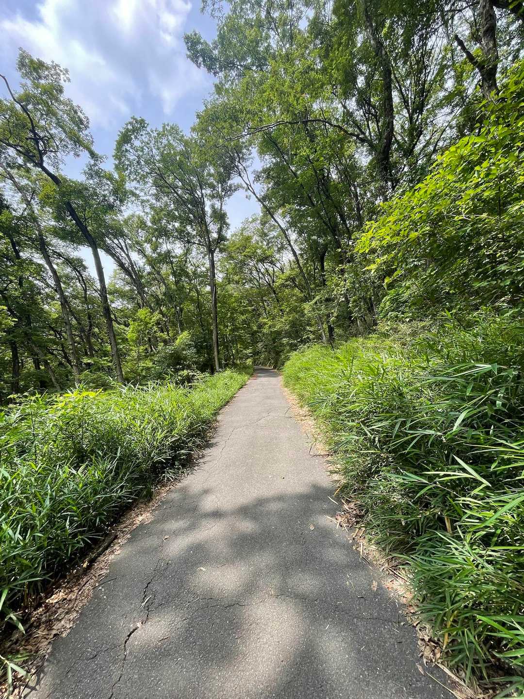 久しぶりの武田の杜エリア🌲✨

12時には甲府のSUNDAYにどーーしても行かねばならんのですよ😎