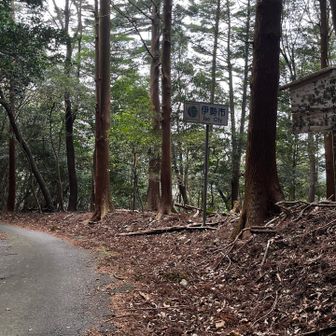 伊勢市側に降りた