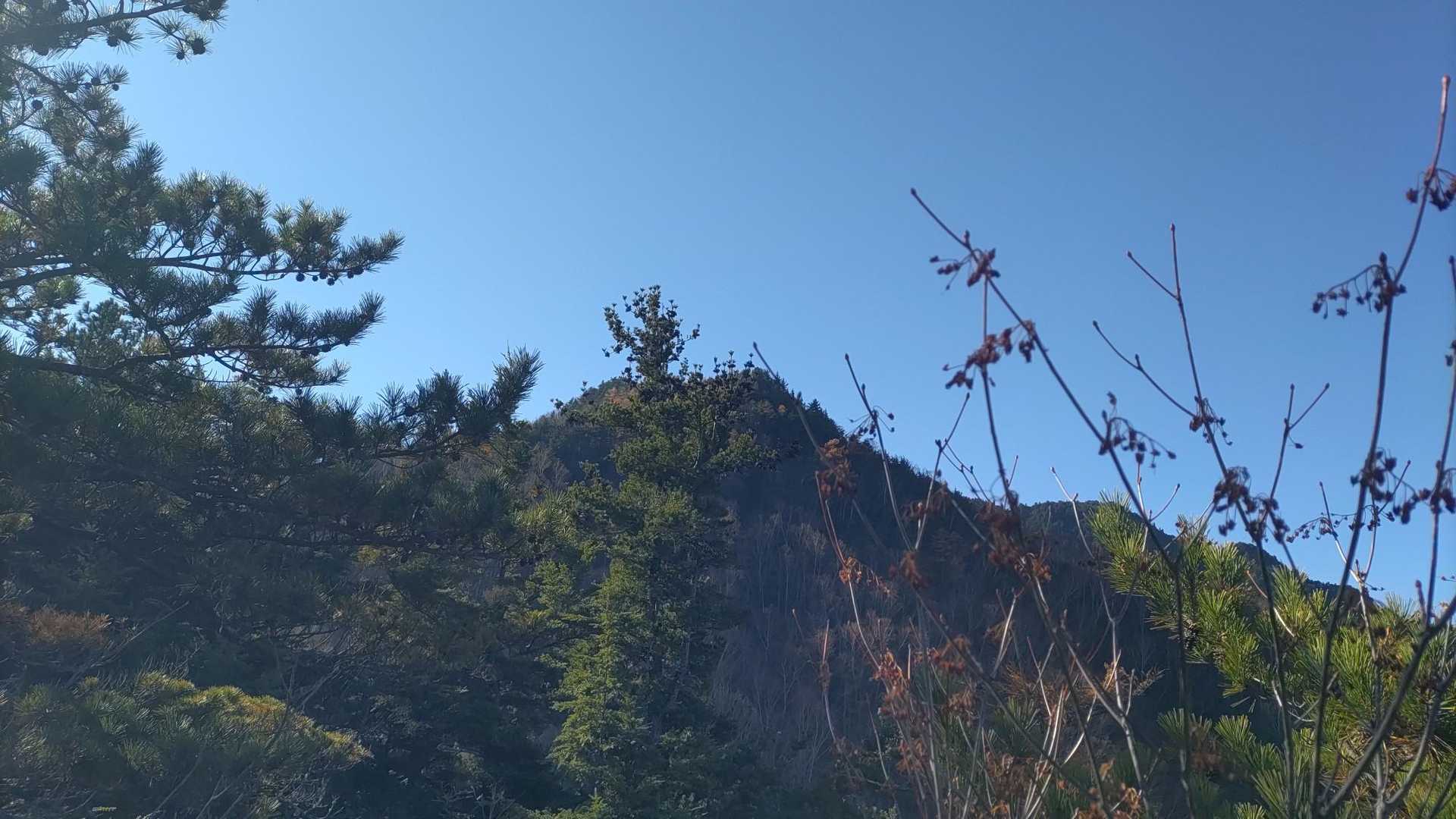 山頂方面
