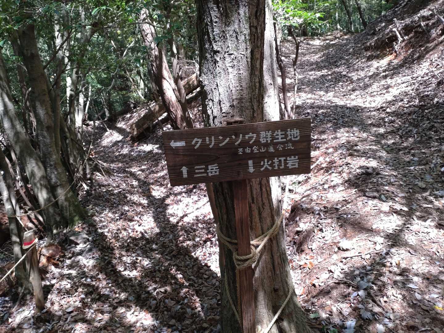←へ👣