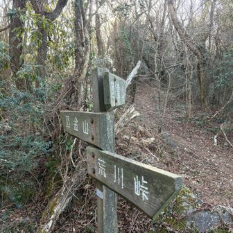 河童山へ⛰️
