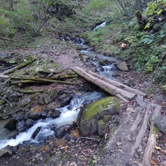 登りは左ルートから二ノ鳥居を目指す