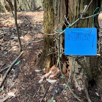 ここも山頂ですね。