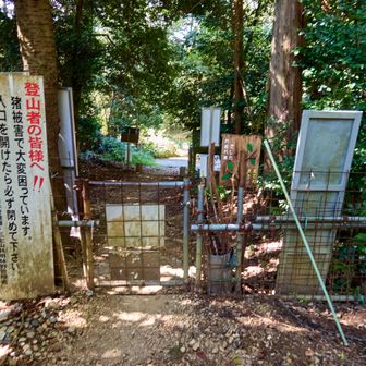 裏参道登山口まで降りてきました。