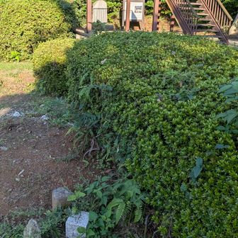 四等三角点　鹿部山