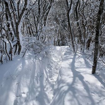 小屋先の展望スポットまで
もうひと頑張り❗️