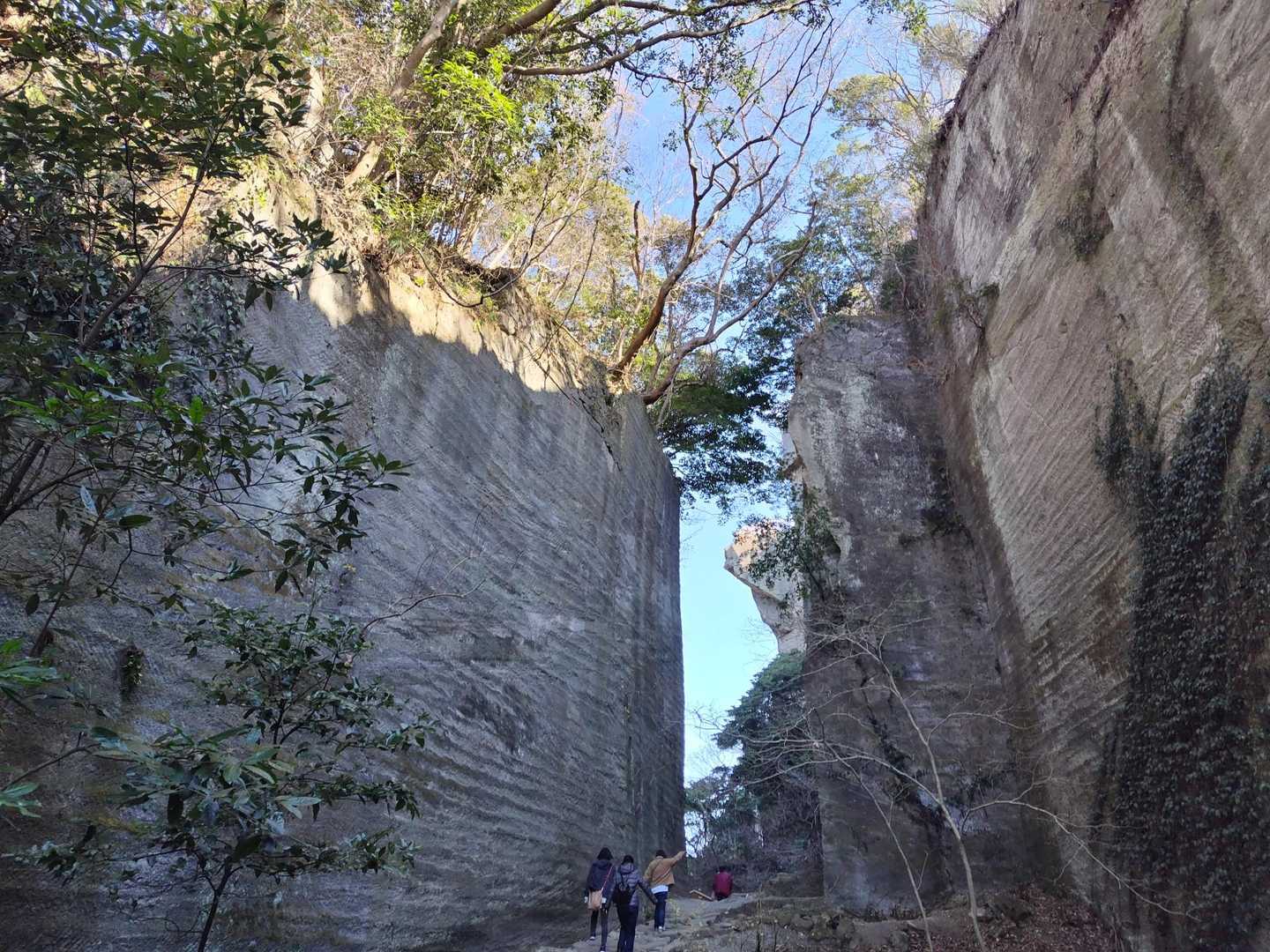 日本寺発着｜鋸山往復コースの写真