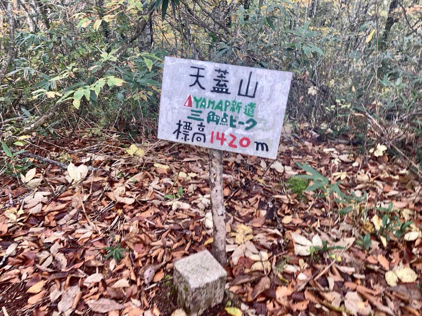 三角点▲
ココより少し下りてグイッと上がる↗︎↗︎
本道との合流地点までがヒーハー💦