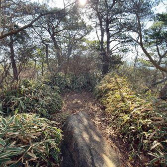 新穂高山頂到着
標識も三角点も無し
下りは登りとは反対側へ
※間違って道なき道を降りようとしました。