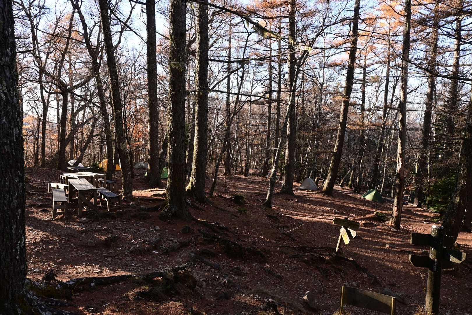 八丁平-小川山 往復コースの写真