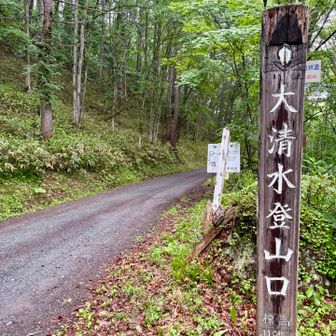 何度も尾瀬に行ってるけど、大清水からは初めて😆