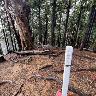 二ノ沢ノ頭。この尾根筋、とんでもない斜面から踏み跡が合流してくるところを何ヶ所か見かけたが、沢登りのルートでもあるんだろうか？