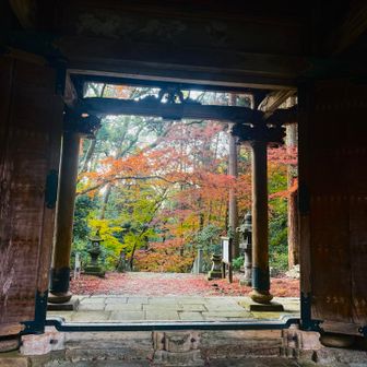 どこでもドアに戻りますꙬ)وﾞ ㌧

現実の世界へᯅ̈՞ ՞笑

来年は、
紅葉の清水山から丸山･小僧都山・女山を下り…
大取りに竹林堪能🎋
周回したい‎です𖦹‎

Yamapさんから登り納の📛届いた⋆ᯅ̈՞ ՞笑
まーだだよっ
