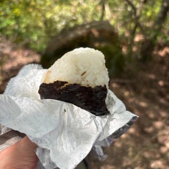 田中山にてモグモグタイム
山ではパンよりおにぎり派です
これ以降、誰とも会わなかった