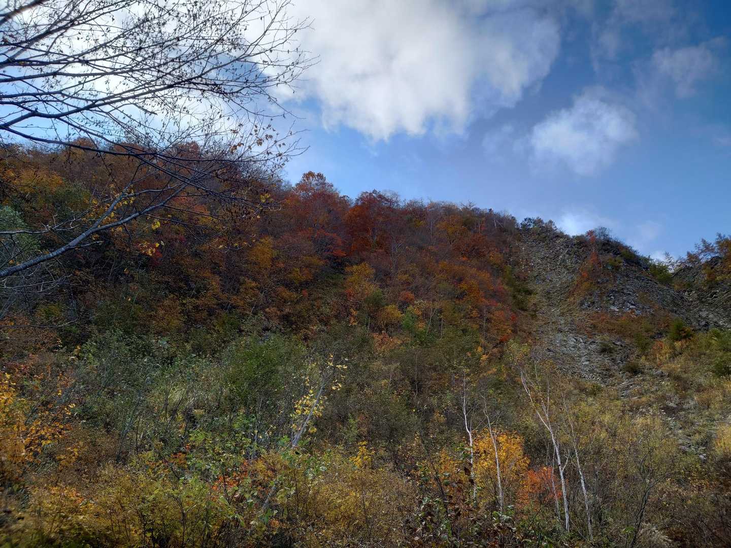 一夜山 往復コースの写真