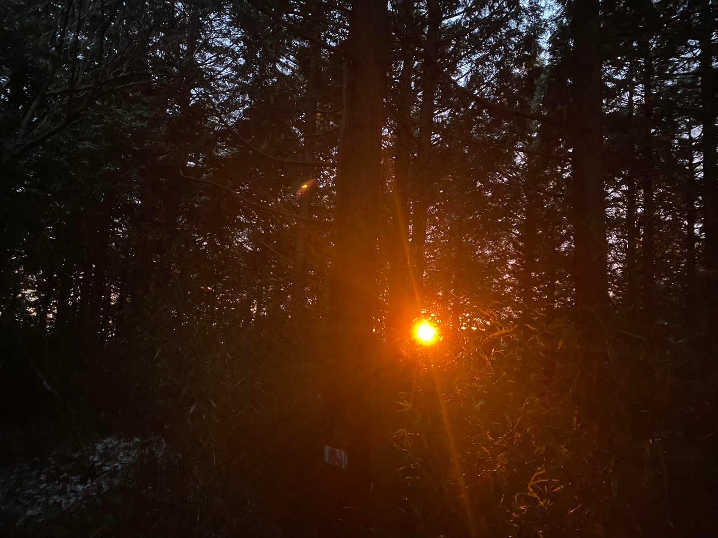 この色を山頂で見たかった😭