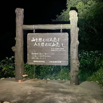 よく見るやつ