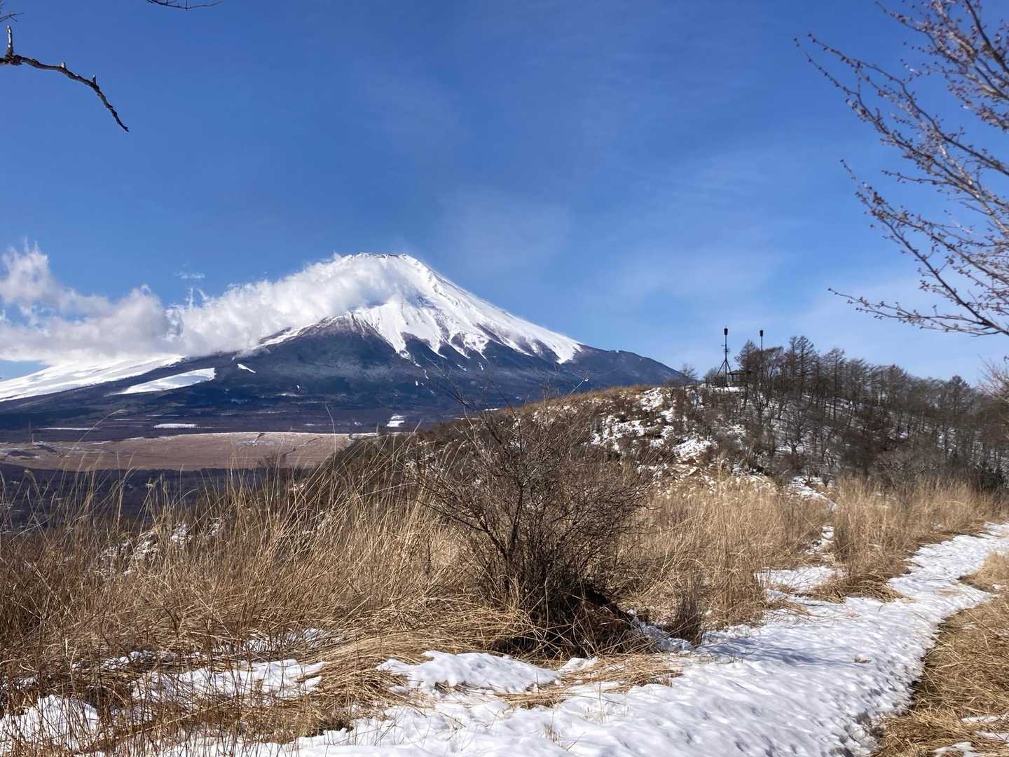 富士山見ながら歩けます