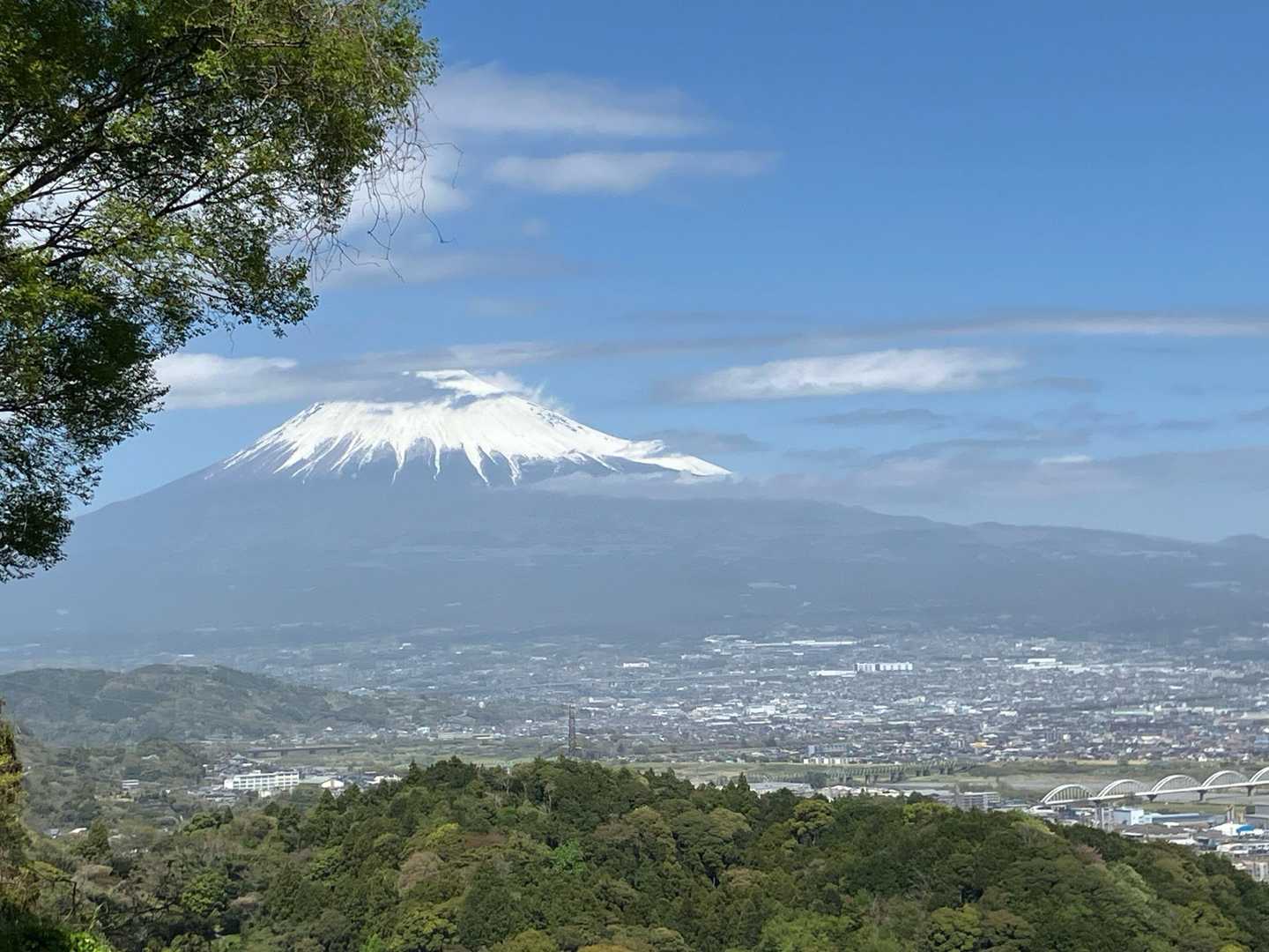 富士山🗻も見えます。