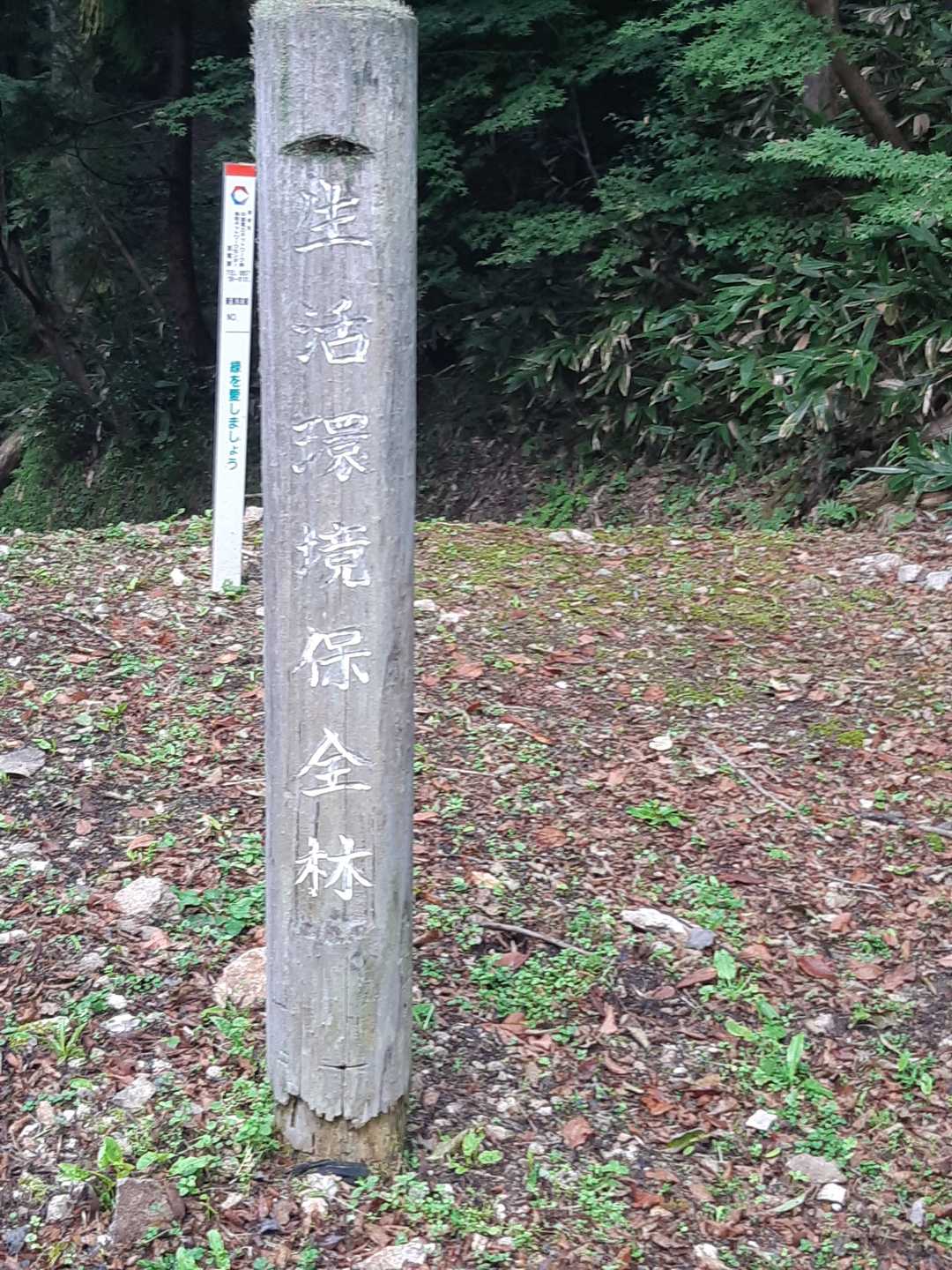 🚘🅿️🚗から、少し下のこの標識から、入山します。