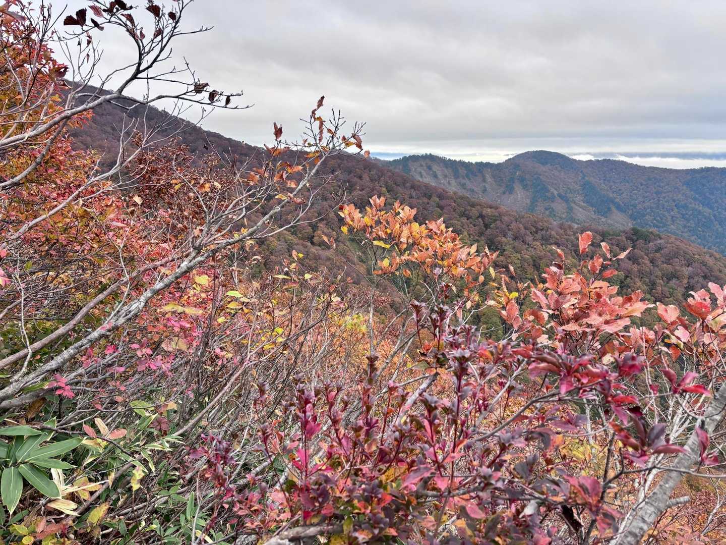 赤だけじゃなく黄色に緑があるからお山の紅葉は沁みる

そして秋の冷たい風も心地よい　3度
