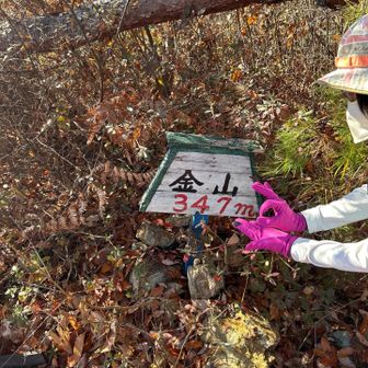 煩悩の塊💰
ゴールド山到着⛰️