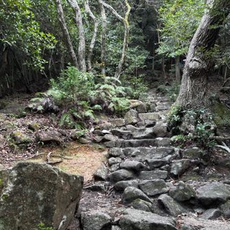 何度もそんなどうぞがあって、呼吸が、、