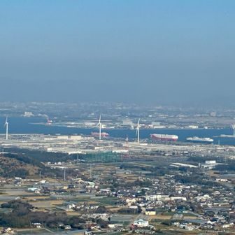 自動車運搬船🚢が見える