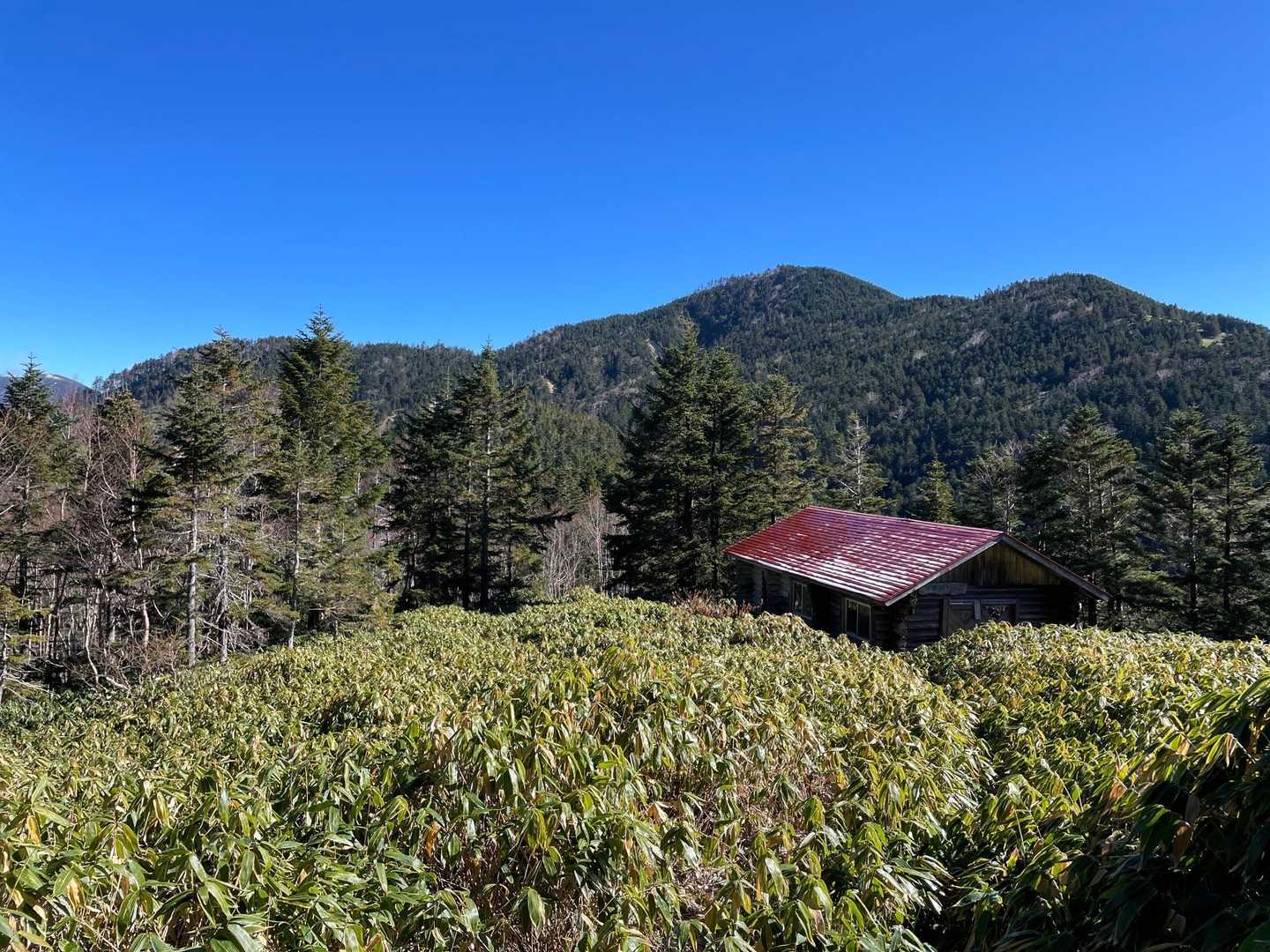 ピーカンの空と避難小屋