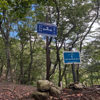 ここから二子山へ入ります