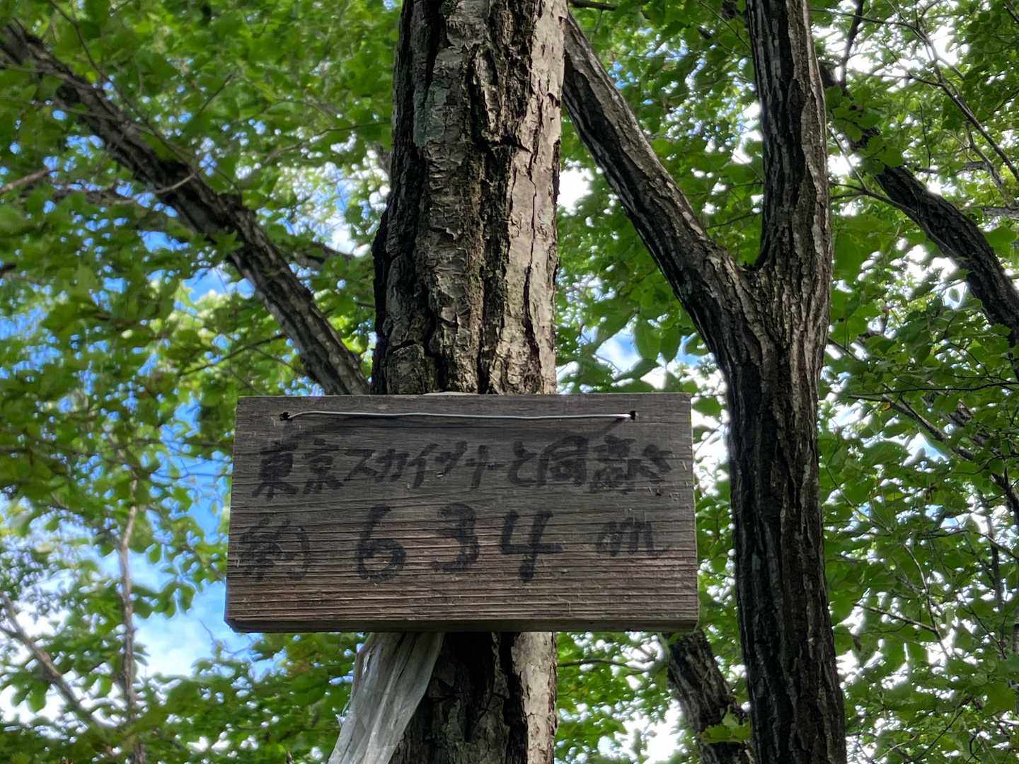 スカイツリーと同じ高さ！
以前だいぶ並んで展望台から景色を見たのを思い出しました
