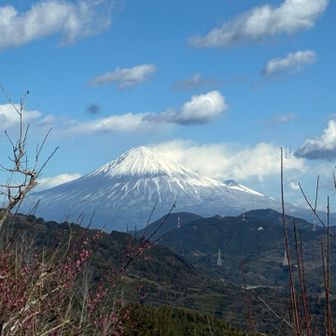 梶原山⛰️からの富士山🗻もナイス👍