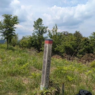変わって、蛇峠山の馬の背。ここまで結構しんどく、ここらで引き返そうと迷った。だが、ここから頂上が見え、あともう少しと言い聞かせながら蛇峠山頂へ向かう。