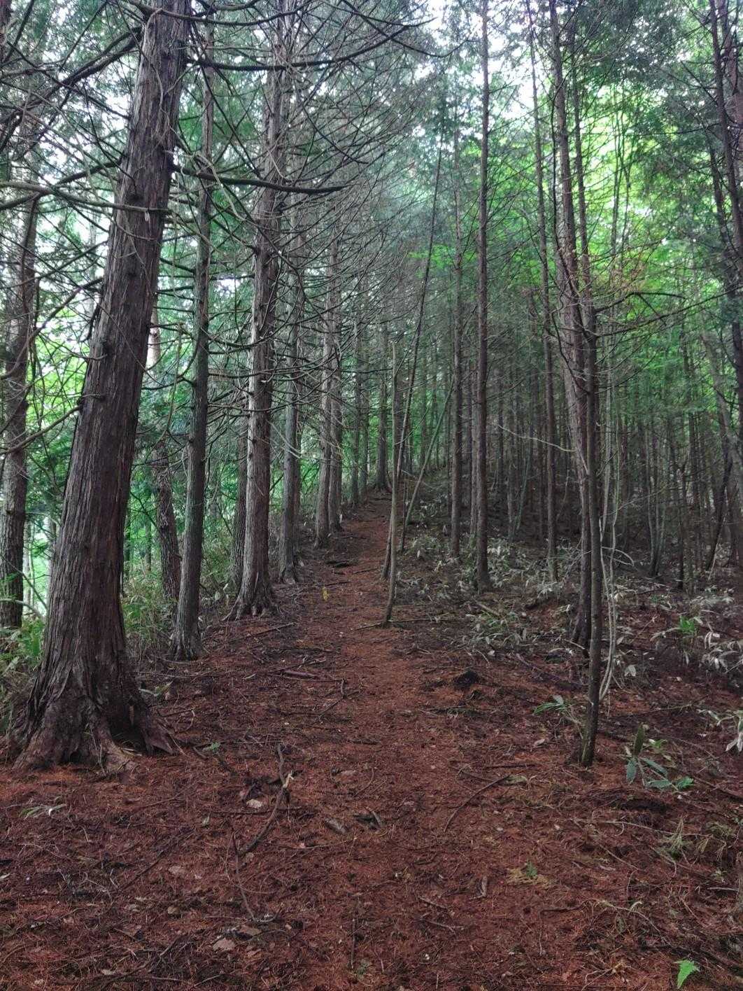 雨引山登山口-雨引山 周回コースの写真