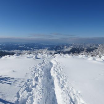 素晴らしい眺め
