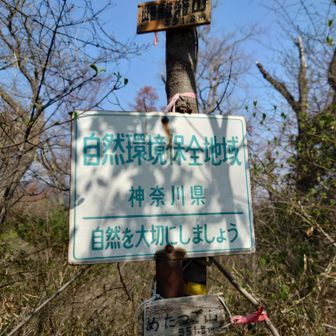 最後に外周ルートからは外れて、めたつご山へ。何気にここが一番きつい傾斜だった。