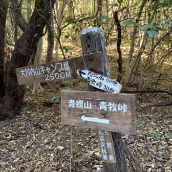 黒髪山頂でランチの算段
まだ早いので青螺山へ