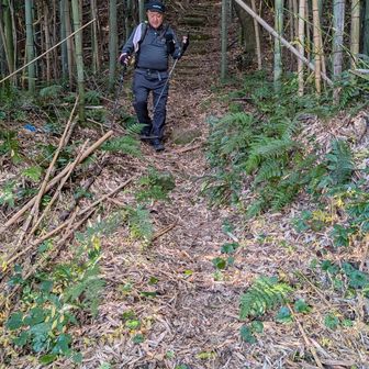 竹藪抜けて下山です